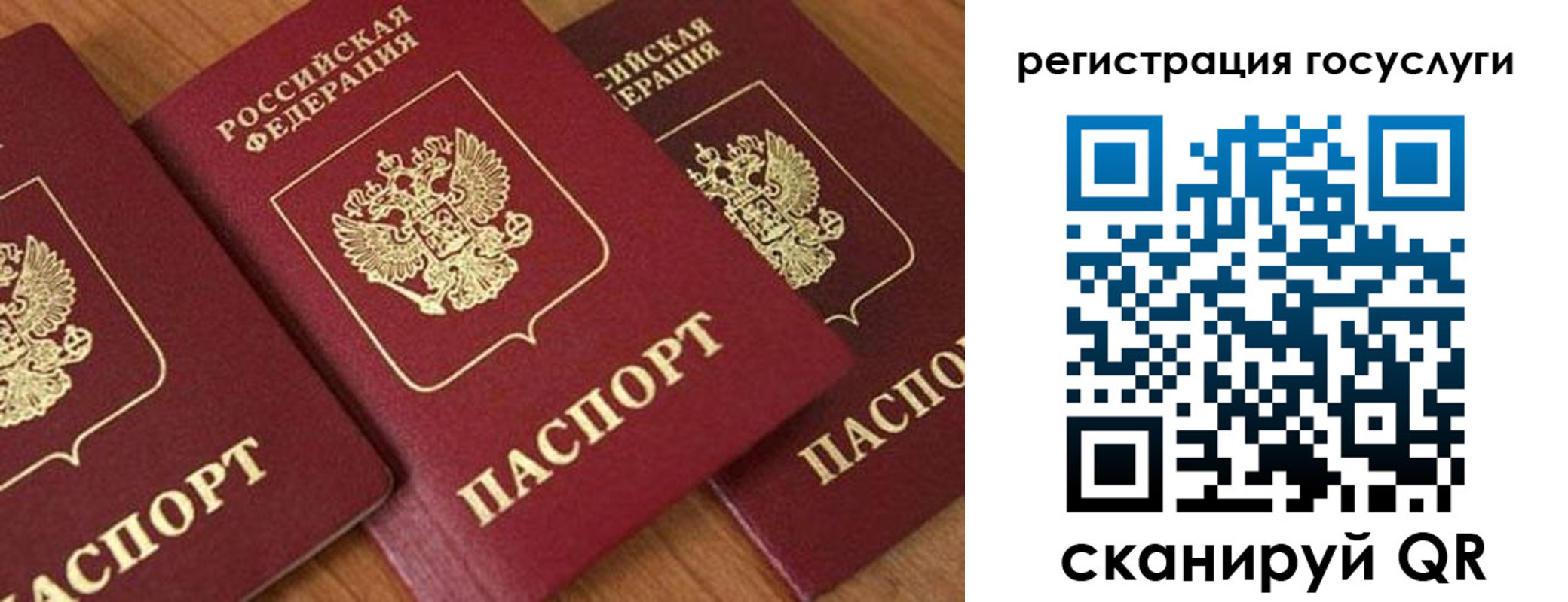 временная регистрация гарантия в Ермолино